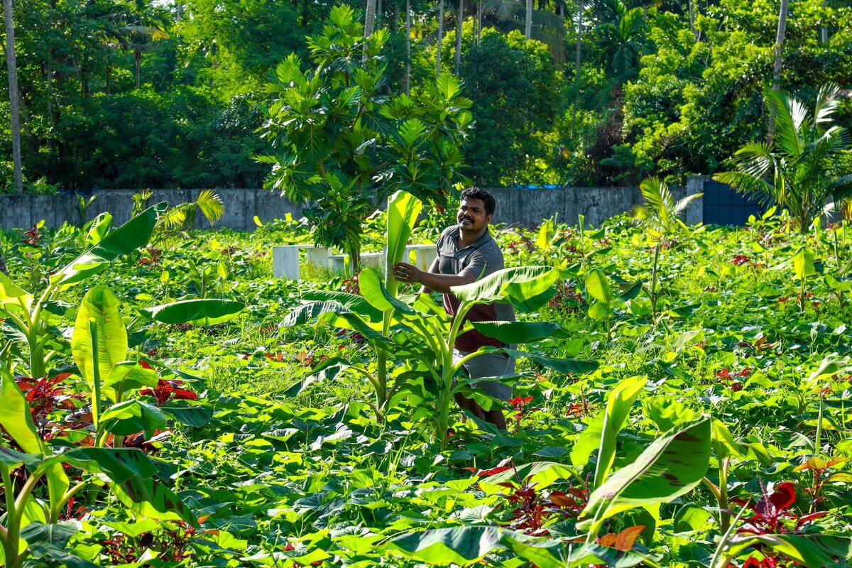 natural farming